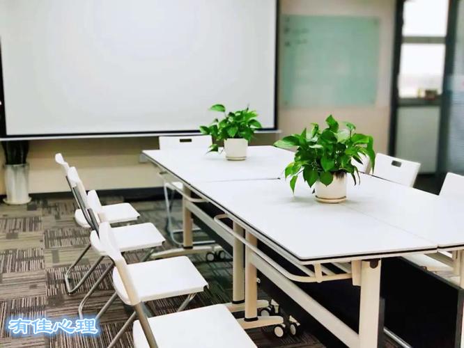 朱佩英,公司經營范圍包括:心理咨詢,教育信息咨詢,企業管理